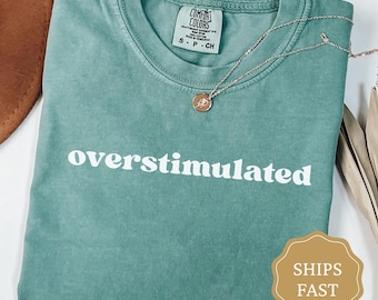 Comfort Colors Overstimulated Shirt, Funny Anxiety Shirt, Funny Mental Health Tee, Unhinged Tshirt, Introvert Gift, Overstimulated Tee