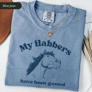May include: Blue jean colored t-shirt with the text "My flabbers have been gasted" and a horse graphic. The shirt has a crew neck and short sleeves. A gold necklace with a small pendant is draped across the shirt.