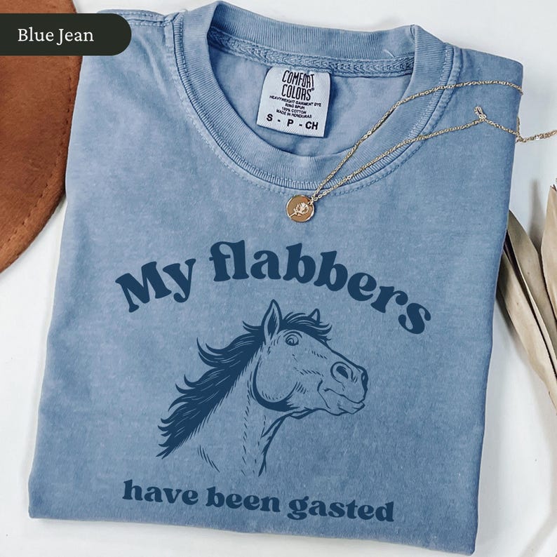 May include: Blue jean colored t-shirt with the text "My flabbers have been gasted" and a horse graphic. The shirt has a crew neck and short sleeves. A gold necklace with a small pendant is draped across the shirt.