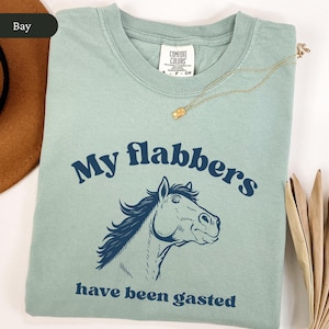 May include: A light green t-shirt with the text "My flabbers have been gasted" and a navy blue illustration of a horse's head. A gold necklace with a pendant is draped on the shirt.