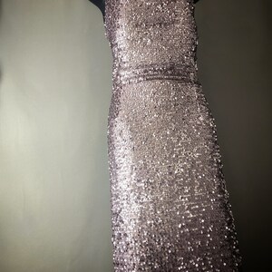 May include: A silver sequined sleeveless dress with a straight neckline.