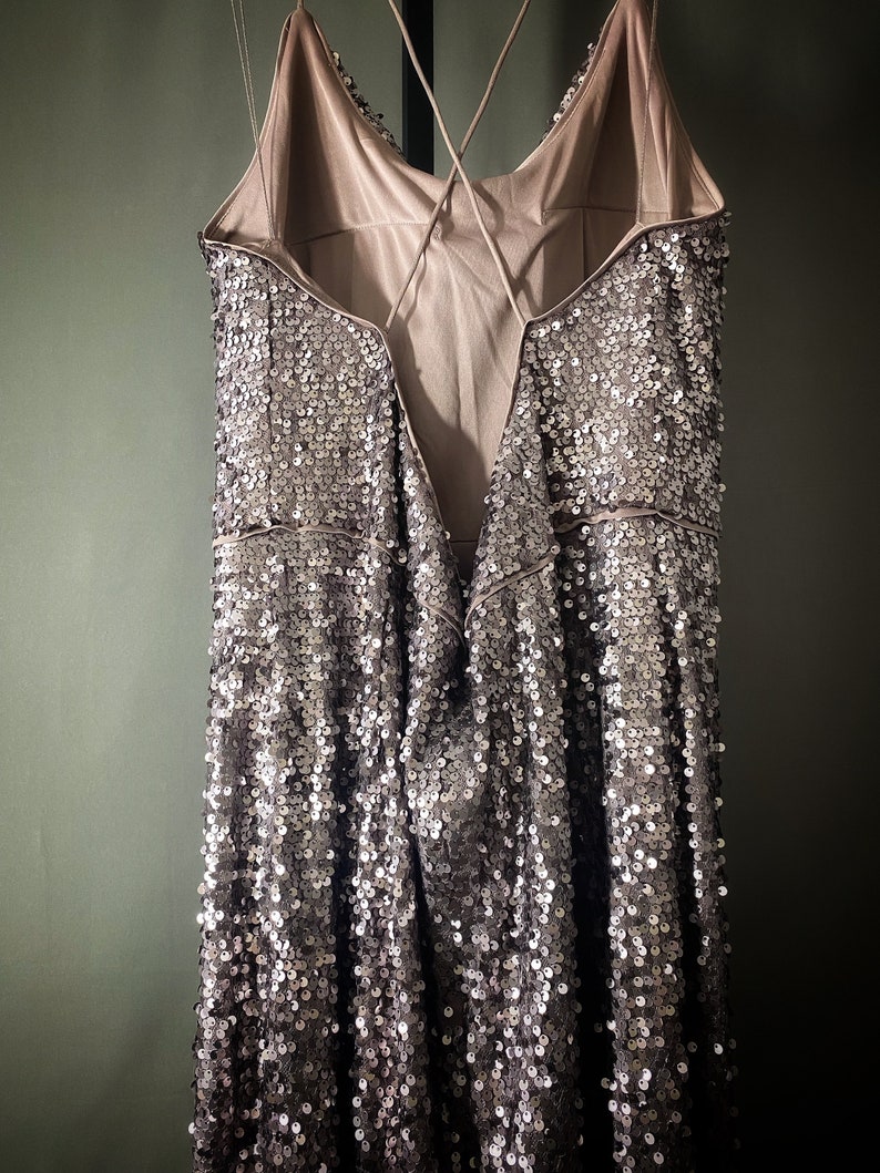 May include: A silver sequined dress with a low back and spaghetti straps.