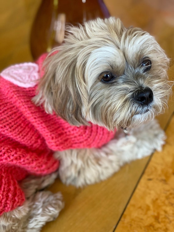 Coral Chihuahua Sweater With Heart in Mohair Wool Knit Sweater