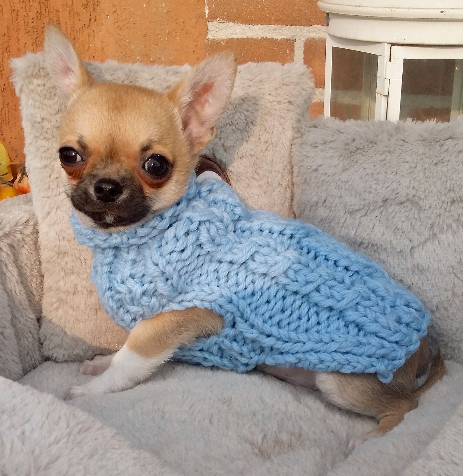 Manteau de chihuahua Chiot Sweater Animaux de compagnie mode Etsy