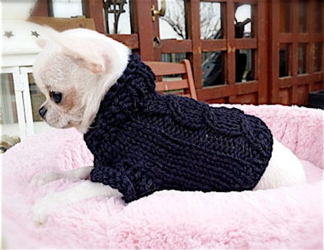 Chihuahua coat Knit Chihuahua sweater Small dog clothes Gift Etsy