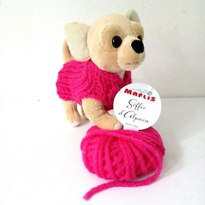 NEUER Kostbarer Pullover für kleine Hunde aus Alpaka, Strickpullover für Welpen oder Chihuahua, Winter High Fashion Hundemantel, Luxus Hundepullover