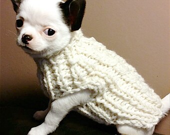 White milk chihuahua sweater, Knit chihuahua jumper, Small dog clothes, winter small sweater, Gift for pets lover, warm chihuahua coat,