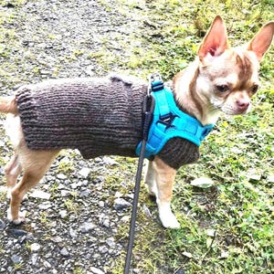 Alpaca knitted sweater for chihuahua, knit alpaca dog jumper, Winter dog sweater, Gift for pet lovers, Chihuahua sweater with brown flower
