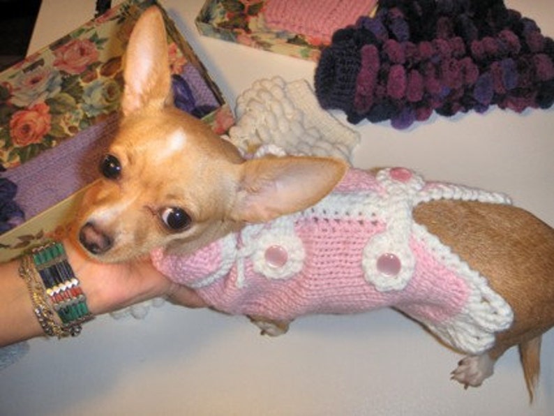 Pink Chihuahua Coat Knit Sweater Chihuahua Little dog clothing Etsy