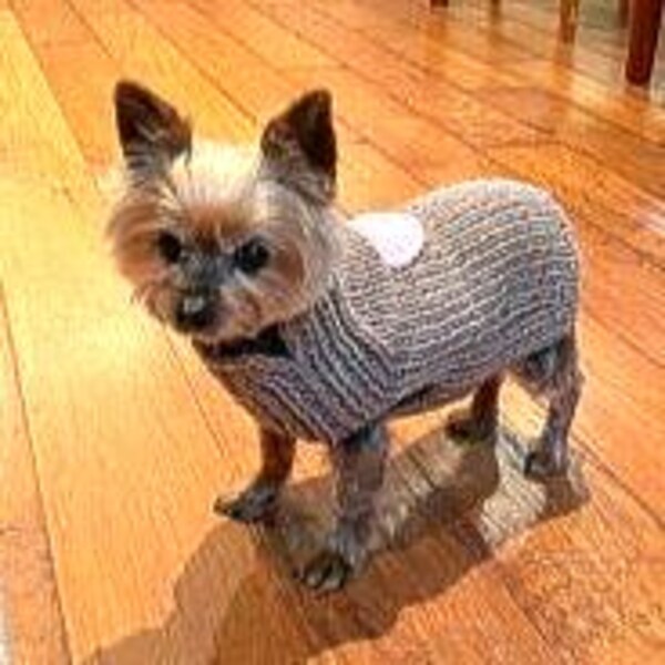 Chihuahua sweater in Eco Cashmere 100%, Luxury dog coat, Eco friendly puppy sweater in cashmere made in Italy, Hand knit small dog jumper