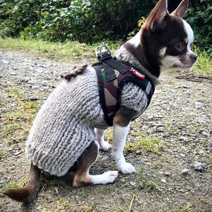 Alpaca knitted sweater for chihuahua, knit alpaca dog jumper, Winter dog sweater , Gift for pet lovers, Chihuahua sweater with brown flower