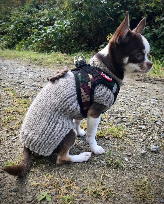 Chihuahua Knit Alpaca Dog Jumper 