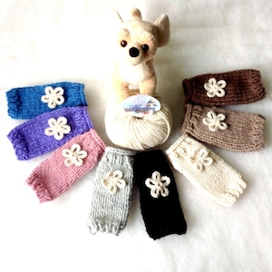 Chihuahua sweater in Alpaca with flower, Knit small dog jumper, Puppy coat, Teacup dog sweater, Handmade sweater yorkshire or small dogs