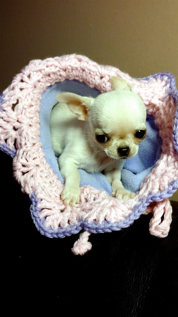 Cama chihuahua sale