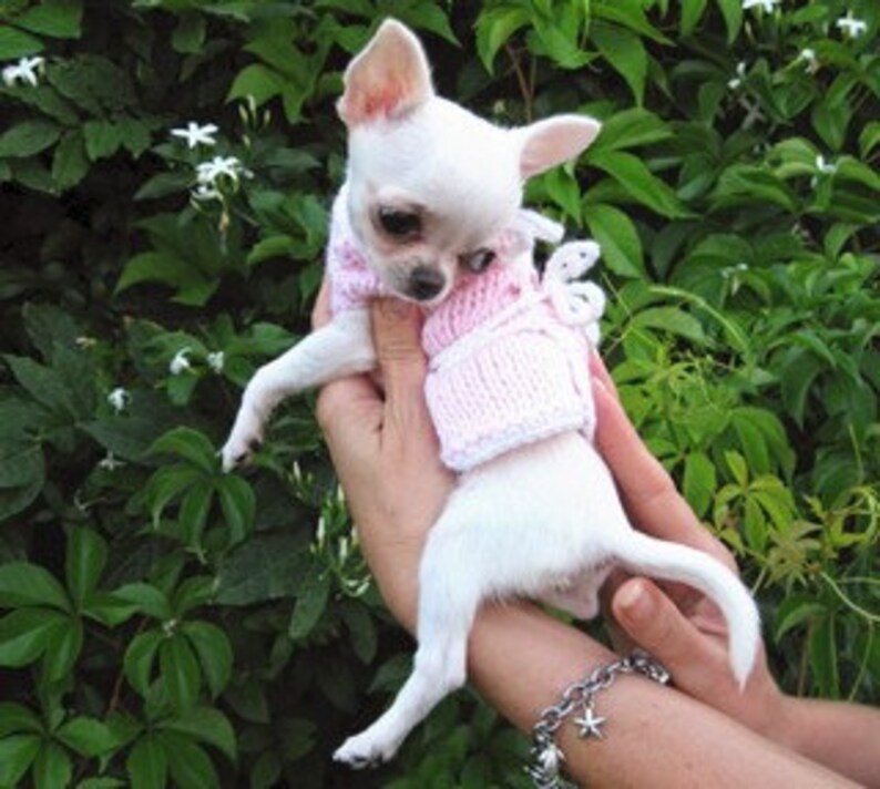 Puppy Sweater Chihuahua Clothing Pet Fashion by Nerina52 Gift Etsy