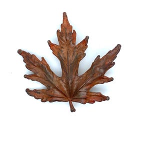 May include: A decorative brooch shaped like a maple leaf with a textured, weathered surface in shades of rust, brown, and deep orange. The leaf features defined veins and serrated edges, mimicking the appearance of a dried autumn foliage piece.