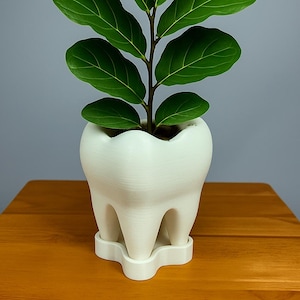 Tooth Planter with Saucer: 3D Printed PLA Eco-Friendly Plant Pot