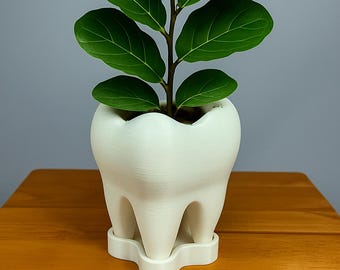 Tooth Planter with Saucer: 3D Printed PLA Eco-Friendly Plant Pot