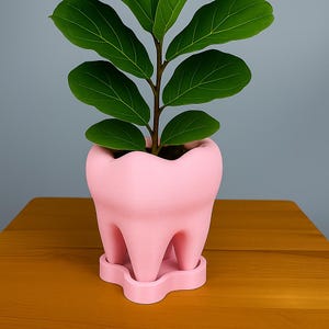 Tooth Planter with Saucer: 3D Printed PLA Eco-Friendly Plant Pot