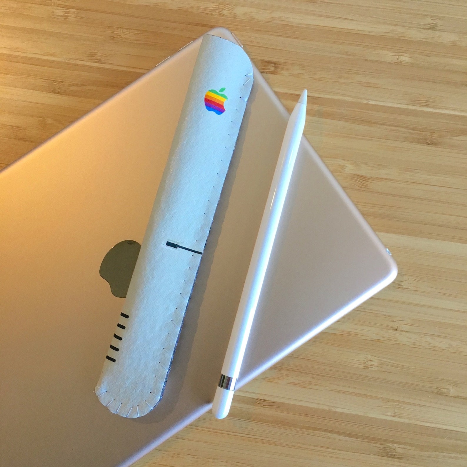 Apple Pencil Case Apple Pencil Holder Apple Pencil Sleeve Etsy