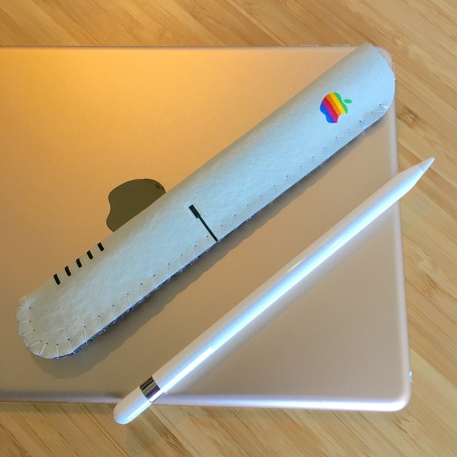 Apple Pencil Case Apple Pencil Holder Apple Pencil Sleeve Etsy