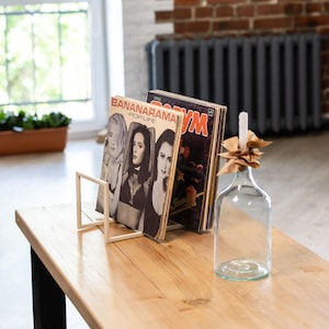 Record Holder LP Record Stand Metal Vinyl Storage Rack Handmade Display Shelf Modern Organizer Music Decor Audiophile Accessory Holder