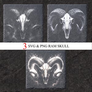 Op de afbeelding: Drie vierkante leistenen onderzetters met witte ram schedel ontwerpen. De tekst "3 SVG & PNG RAM SKULL" is in wit en rood gedrukt. De ram schedels hebben gedetailleerde hoorns tegen een donkergrijze achtergrond.