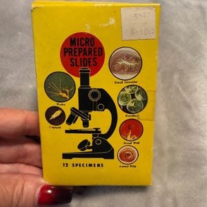 Conjunto de 12 lâminas preparadas para microscópio vintage de algas marinhas - BiologyX Species (Japão)