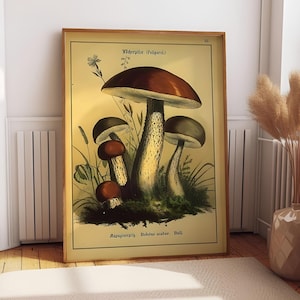 Vintage Mushroom Canvas Wall Art | Fantasy Home Décor | Mushroom Forest Canvas Wall Art | Mushrooms Botanical Art | Canvas Wall Art