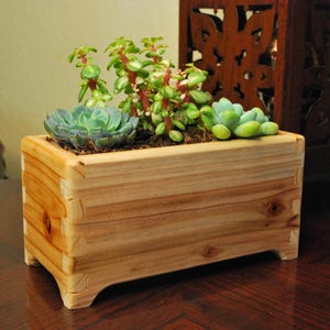 Rectangular Cedar Planter, Handmade Herb Box, Succulent Planter, Flower Window Box, Tropical Plant Pot, Eco Friendly Planter