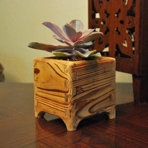 May include: A small succulent plant with pale purple and green leaves potted in a square wooden planter. The planter features visible finger joint construction at the corners and four short feet, showcasing a natural wood grain pattern throughout.