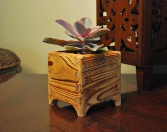 May include: A wooden planter box with a succulent plant. The planter is made of light brown wood with a natural grain pattern. The succulent is a light purple and green color.