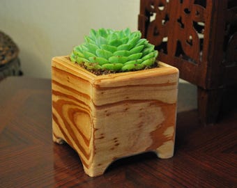 May include: A small succulent plant in a wooden planter with a light brown and orange wood grain pattern.