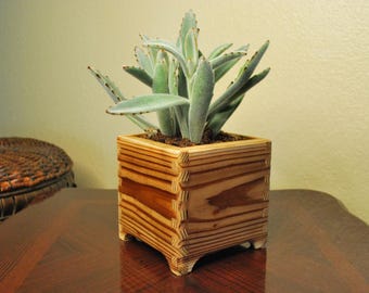 May include: A succulent plant with light green leaves grows in a square wooden planter box with a natural wood grain finish.