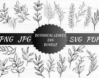 Botanical Leaves and Twigs SVG Bundle, Botanical Clipart, Tree Branch Png, Hand Drawn Vector, Cut files for Cricut, Silhouette, Clipart