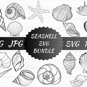 Seashell SVG, Seashell Cricut, Seashell Cut Files, Seashell Silhouette, Digital download, Sea shells Svg, Sea shell Cricut, Beach Svg, Png