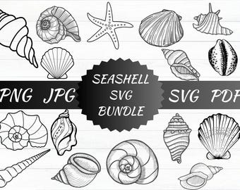 Seashell SVG, Seashell Cricut, Seashell Cut Files, Seashell Silhouette, Digital download, Sea shells Svg, Sea shell Cricut, Beach Svg, Png