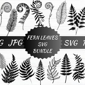 Fern Leaves Svg, Fern Cricut, Fern Svg Bundle, Fern Leaf SVG, Fern Clipart, Boho Svg, Botanical Silhouette, Leaf Silhouette,Instant Download