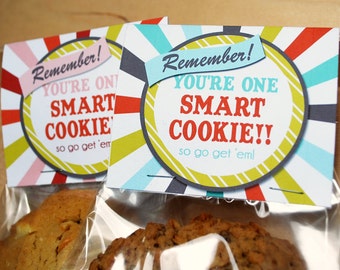 Printable Smart Cookie Topper, Blue, Instant Download Good Luck on Tests Finals, JPEG file