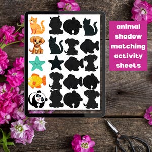 Gioco di abbinamento delle ombre degli animali: fogli di lavoro stampabili per la scuola materna (download immediato),