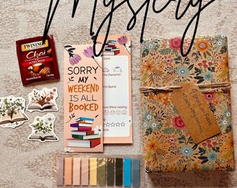 Blind Date with a Book – Book Lover Gift | Gift-Wrapped Surprise with Bookish Treat- Booktok