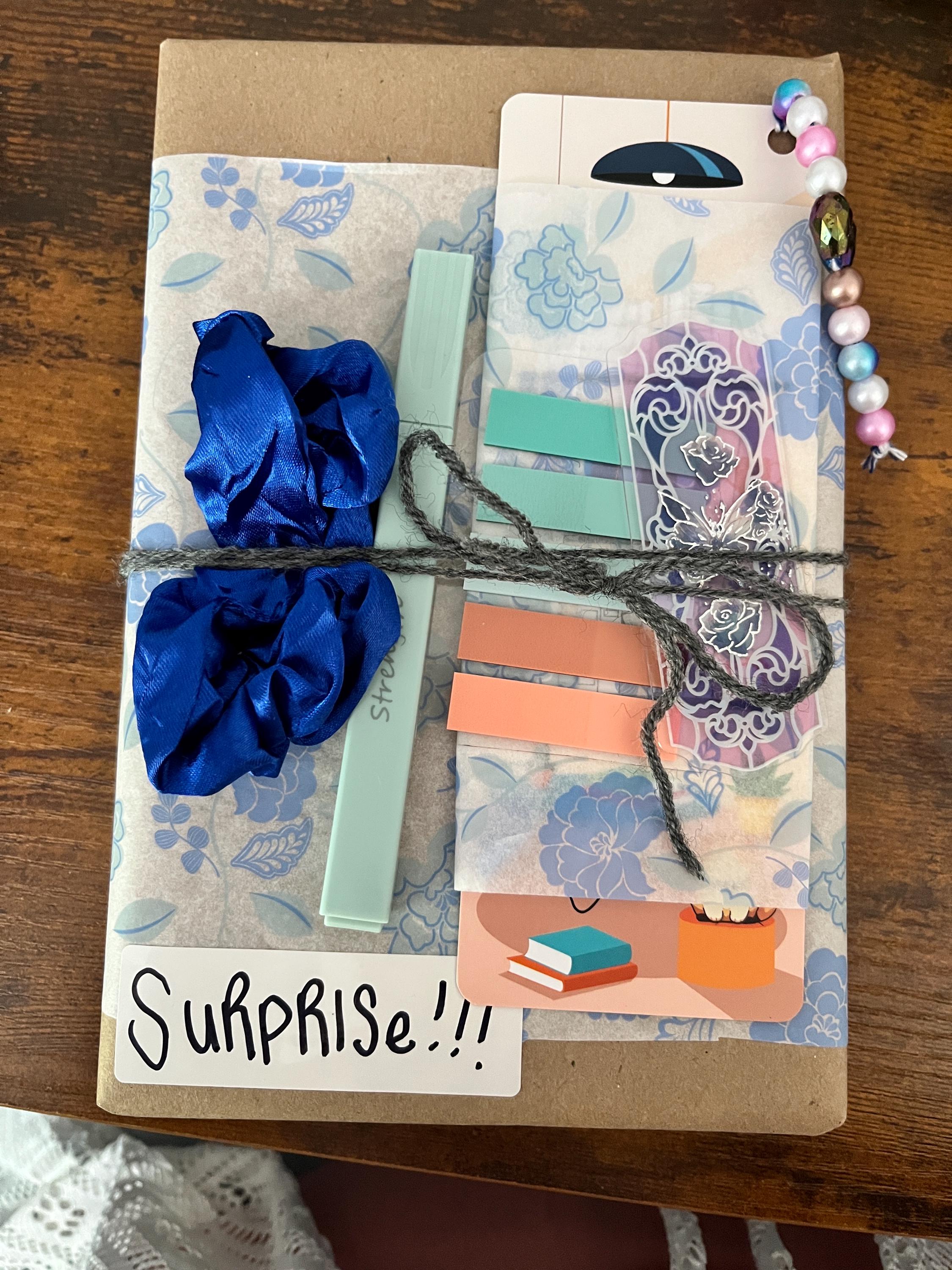 Deluxe Blind Date with a Book Bundle, Cozy Romantic Book Bundle, Gift-Wrapped Surprise with Bookish Treats, Mystery Book, Summer Read