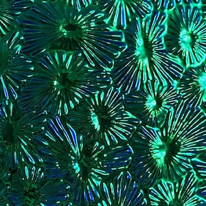 Black CBS 2x3 Pink Teal Florentine 90 COE Dichroic Glass