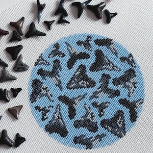 May include: A white canvas features a light blue circle filled with cross-stitched shark teeth. Scattered around the circle are various sizes of real shark teeth in shades of black, brown, and gray.