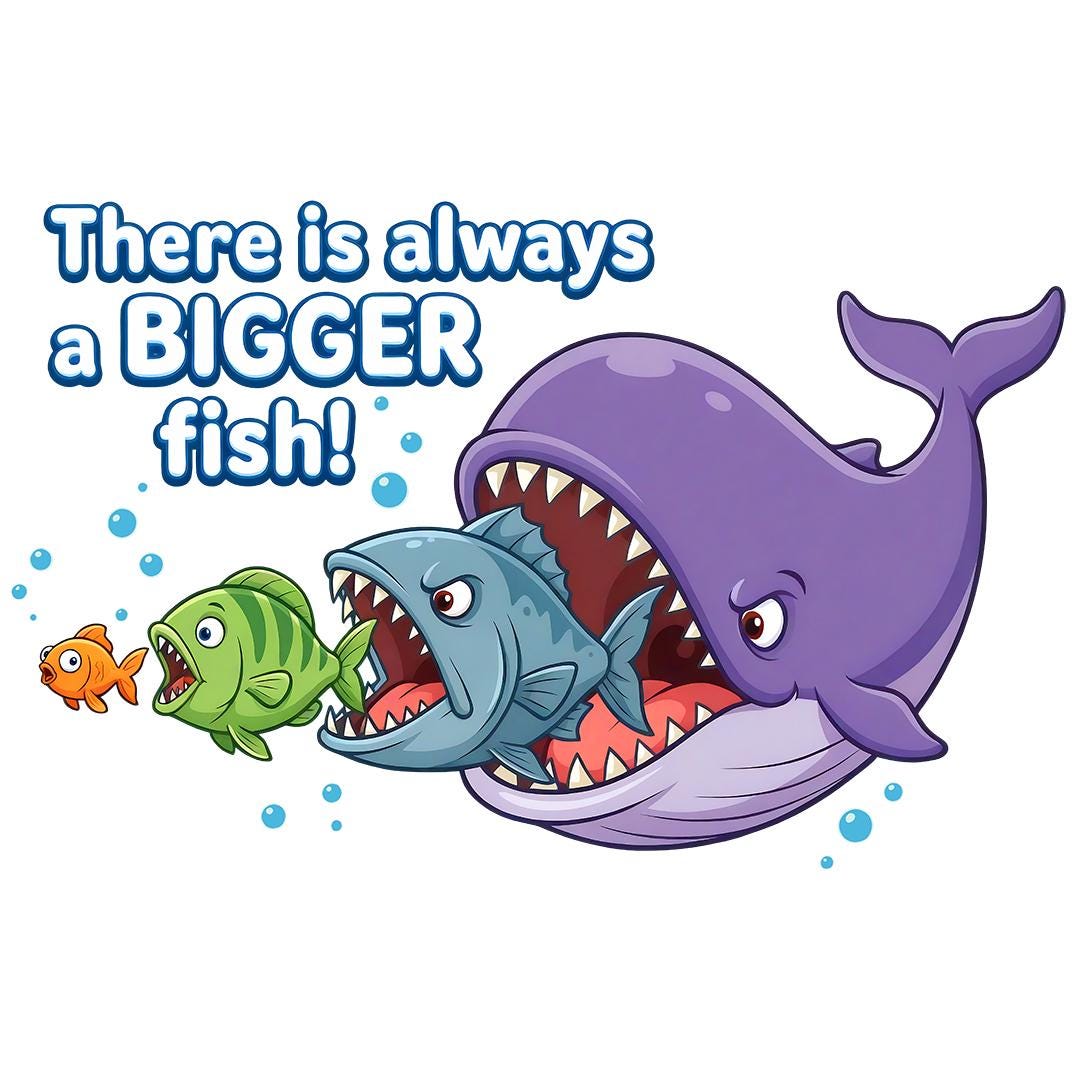Fish Always There is Always a Bigger Fish PNG – Funny Ocean Design - Etsy