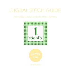 Może przedstawiać: Cyfrowy przewodnik po ściegach z tekstem "DIGITAL STITCH GUIDE" i "PDF NEEDLEPOINT & CROSS STITCH PATTERN". Obrazek przedstawia zielono-białą obwódkę w kratkę wokół białego kwadratu z cyfrą "1" i słowem "month" w kolorze zielonym.