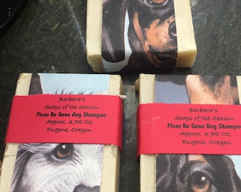 Bar Shampoo for Dogs