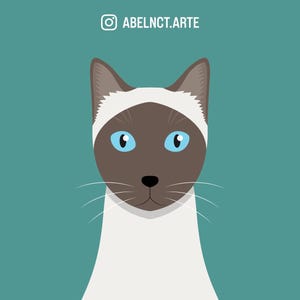 Postais - Gatos Ilustrados