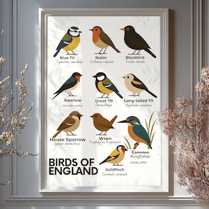 British Garden Birds Art Print: Educational Wildlife Poster