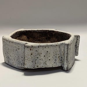May include: A white, textured ceramic planter with a hexagonal shape. The planter has a speckled appearance with dark brown spots and a dark brown interior. The sides have a vertical, grooved design.